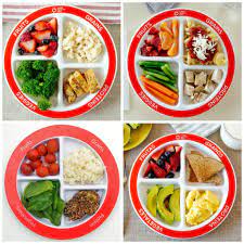 Perfect Portion Plate