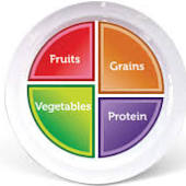 Portion Control Plates For Weight Loss